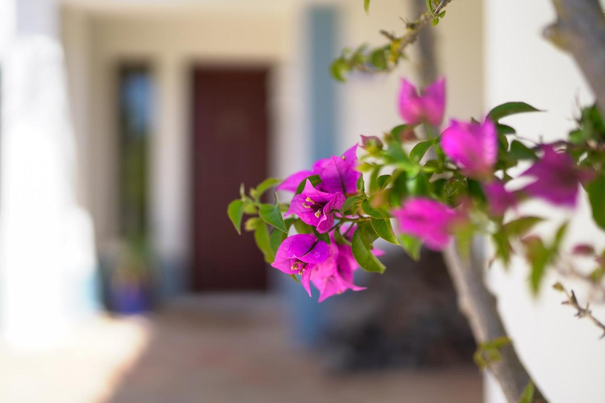 Quinta Do Rosal Hotel การ์วอยโร ภายนอก รูปภาพ